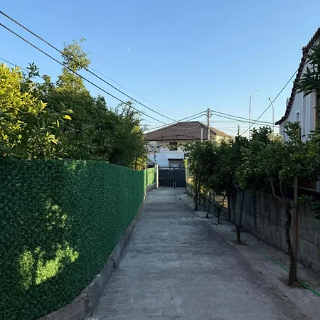Cozy Nest - Near Airport & Centre Apartment